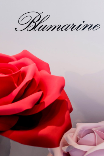 BLUMARINE