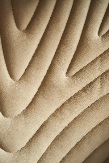 Fotoservizio/SS 2025/DESIGN/EVENTO_CULTURALE/ROBERTO CAVALLI/DP2/7